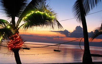 sera, tramonto, oceano, filippine, palme, delle filippine, i tropici