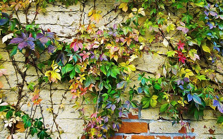 식물, 벽, 화