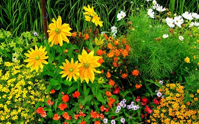 växter, blommor, flora