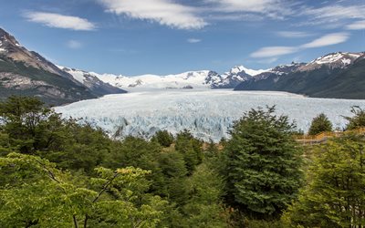 le paysage, la forêt, le glacier perito moreno, en argentine, argentine