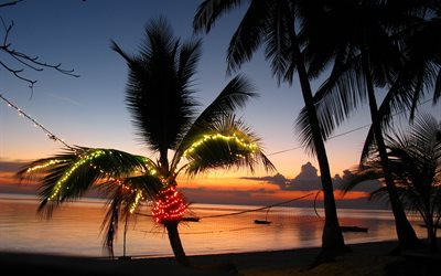 pilipinas, filippinerna, havet, solnedgången, kvällen, ljus, palmer