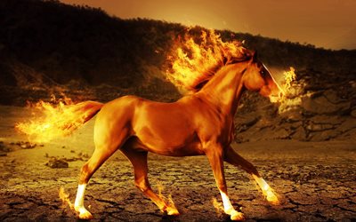 fuoco, a cavallo, in arte