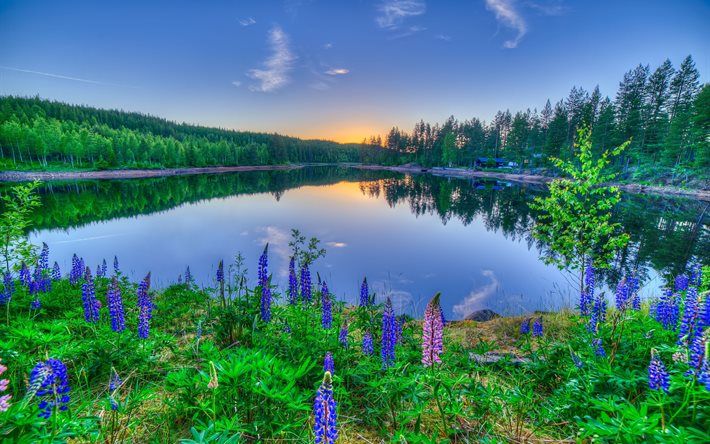 the lake, the house, trees, forest, sunset, flowers, nature, landscape
