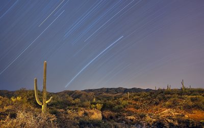 saguaro, nationalpark, arizona, kaktusar, usa, öken, tucson