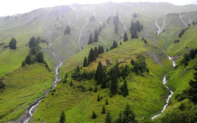 les montagnes, les arbres, les ruisseaux, les paysages, les alpes, l'autriche, les alpes autrichiennes