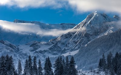 पहाड़ों, सर्दी, adelboden, स्विटज़रलैंड, स्विजरलैंड
