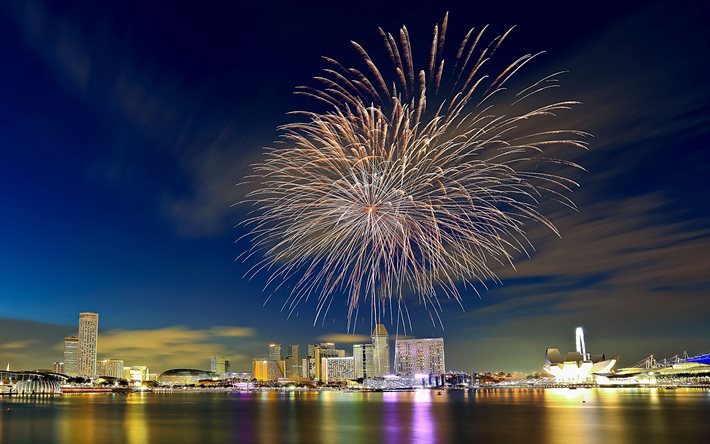 sfilata, festa nazionale, singapore, notte, luci, fuochi d'artificio