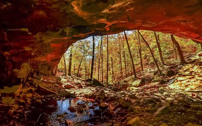 arch, cave, trees
