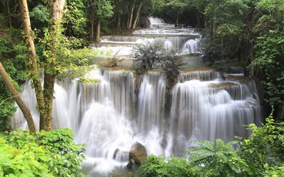 träd, kaskad, buskarna, vattenfall, thailand