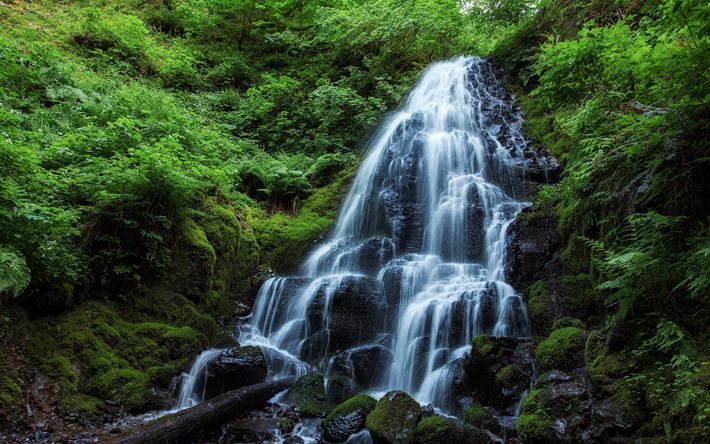 米国, オレゴン州, 妖精の滝, 滝の妖精