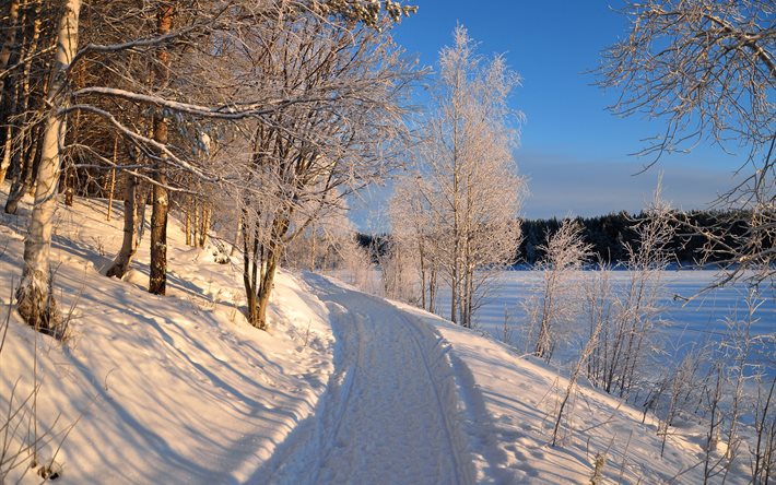 winter, trees, road, landscape