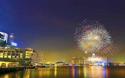 夜, 灯り, 花火, 国立日, パレード, シンガポール