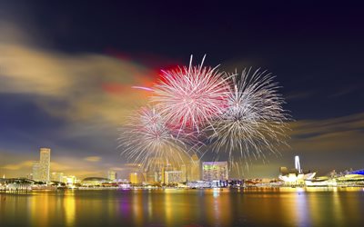 singapur, desfile, el día nacional, fuegos artificiales, luces, noche
