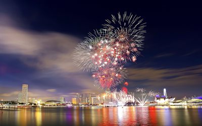 luces, noche, singapur, fuegos artificiales, desfile del día nacional de singapur