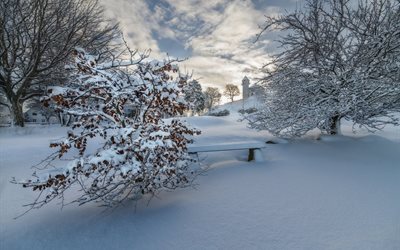 vinterlandskap, vinter, snö, bänk, träd, drivor