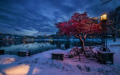 neve, inverno, sera, crepuscolo, stavanger, rogaland, le luci, la norvegia, la lanterna