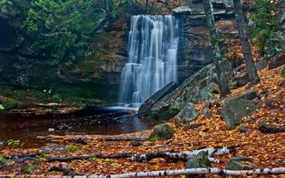 autunno, cascata, roccia, alberi, fogliame
