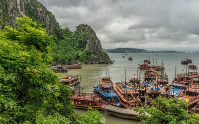 vietnam, halong bay, pir, fartyg, landskap