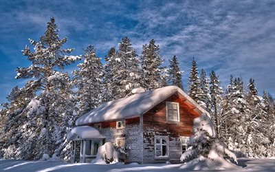 la maison, les arbres, les vieux, arbre, neige, hiver, maison abandonnée