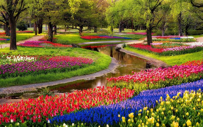 the pond, tulips, yoyogi tokyo, japan, trees, park, flowers
