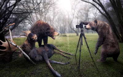 trophäe, elche, bären, fotograf