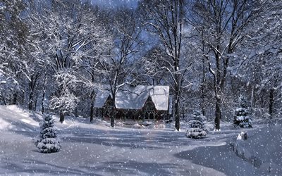 snö, träd, huset, glödlampa, skog, vinter, ljus