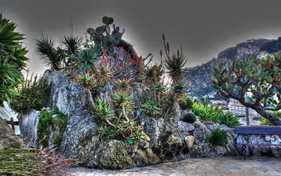 monaco, giardino, cactus, fontvieille