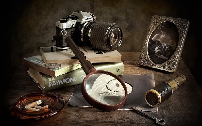 detective, libri, lente, macchina fotografica, ritratto