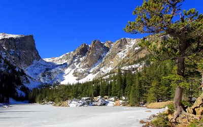 눈, 먹, 공원, 국립공원, 산, rocky mountain, 미국