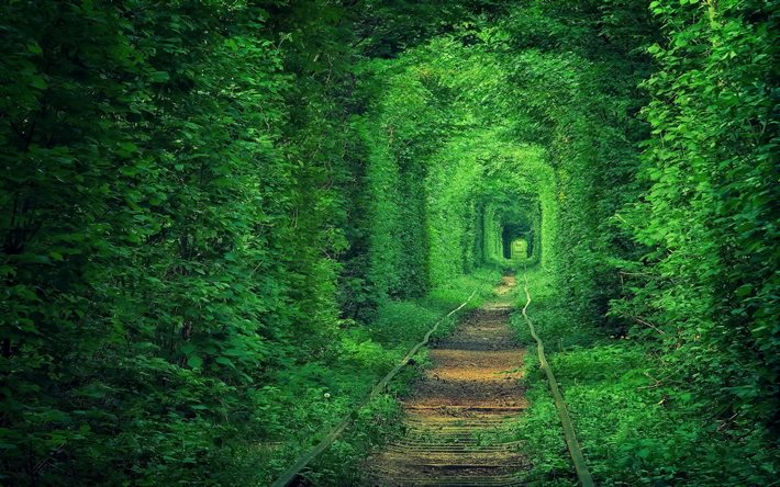 tünel, Ukrayna, ağaçlar, yeşillik, aşk tüneli, klevan