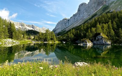 여름, bohinj, 국립공원, trigla, 슬로베니아, triglav, 산