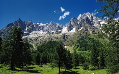 alps, mont blanc, mountains, trees