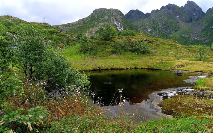 the pond, water, mountains, norway, grass