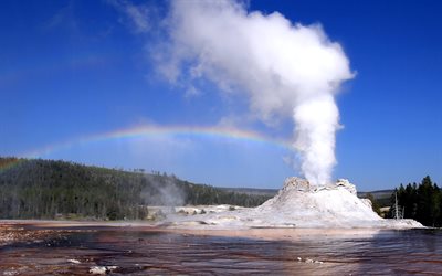 the sky, rainbow, tree, water, usa, couples, trees, yellowstone, forest, geyser