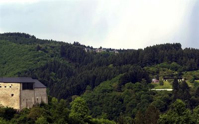 alberi, colline, lussemburgo, casa, vianden
