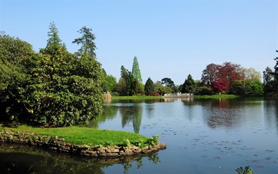 sheffield, the pond, england, park