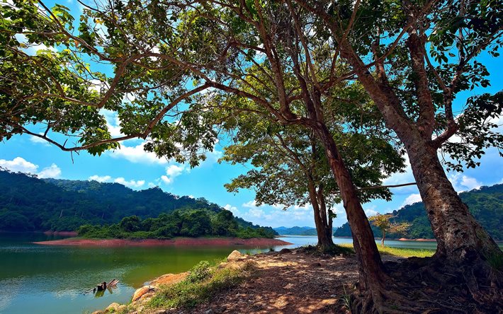 pedu-see, der pedu lake, turnschuhe, malaysia, insel, bäume, kedah