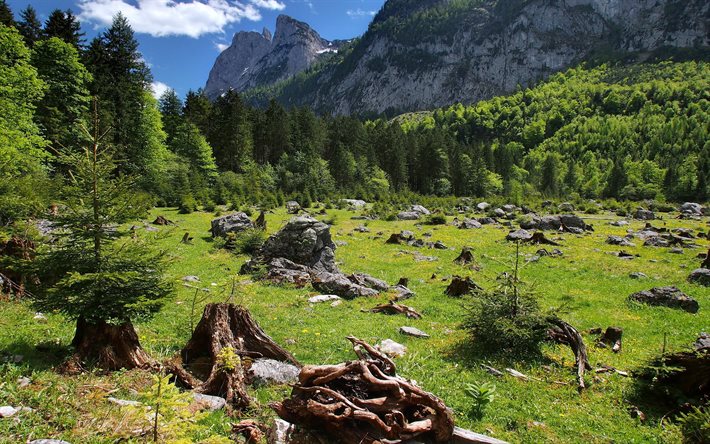 the valley of gosau, mountains, austria, republic, gosau valley