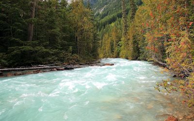 canada, park, river, mount robson, forest, water
