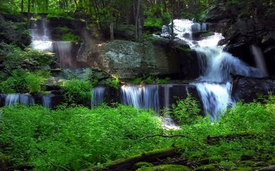 cascade, waterfall, forest, rock, plants
