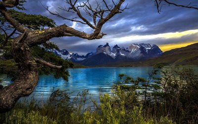 l'arbre, l'herbe, les montagnes, le rock, le lac, la patagonie, le chili, les nuages