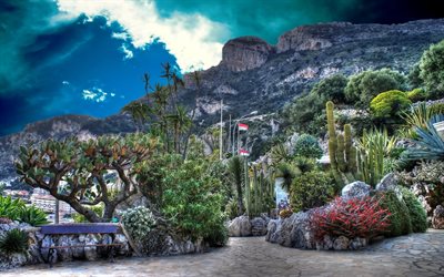 jardín, mónaco, cactus, fontvieille