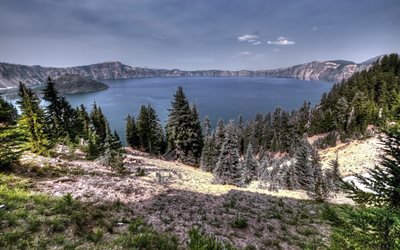 california, spruce, the lake, mountains, usa, the slope