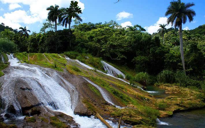 waterfall, trees, cuba, palm trees