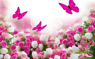 white tulips, butterflies, pink roses, glare