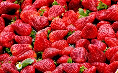 fresas, verano, bayas, fondo con fresas, bayas útiles, fuente de vitamina c, fondo de bayas