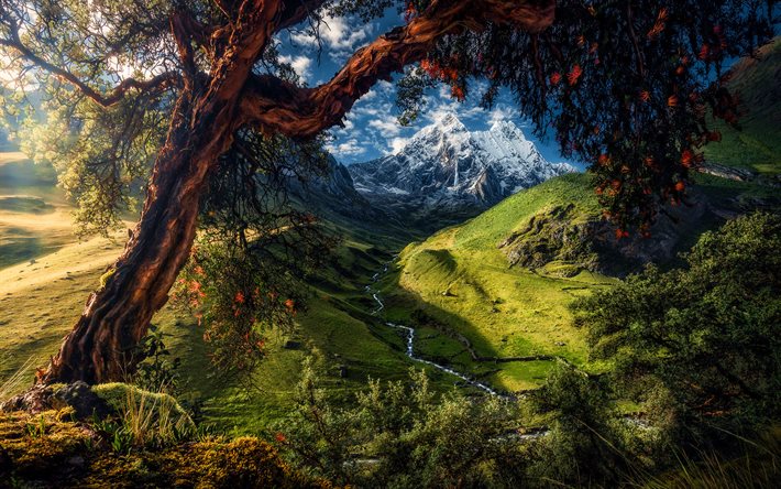 ペルー, 山, 谷, 川, 夏, ペルーの自然, 牧草地, 氷河, 自然との写真, 南アメリカ, 美しい自然