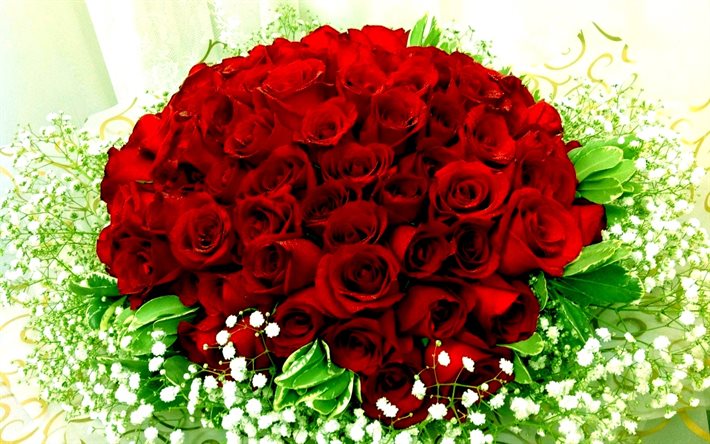 赤いバラを, ブーケのバラの花, バラ, ポーランドバラ, バラの花束