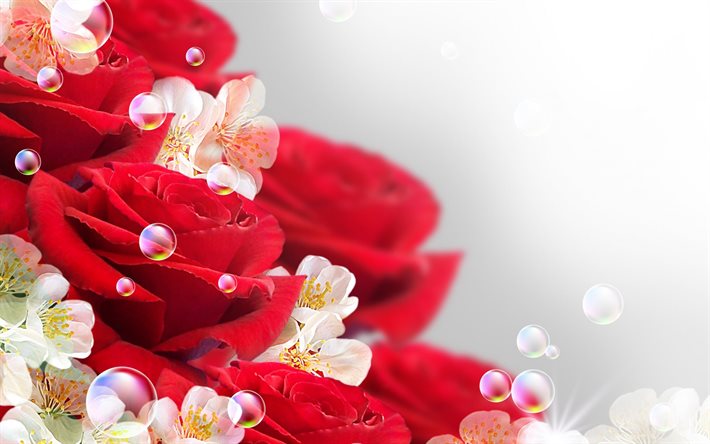 vackra blommor, röda rosor, chervonyi, polska rosor