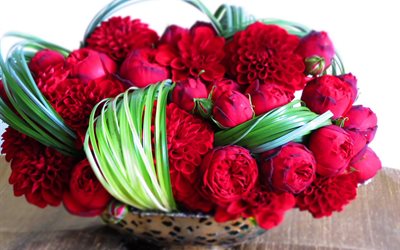 rote pfingstrosen, bouquet von pfingstrosen, roten pfingstrosen, strauß pfingstrosen